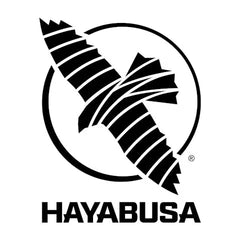 Hayabusa