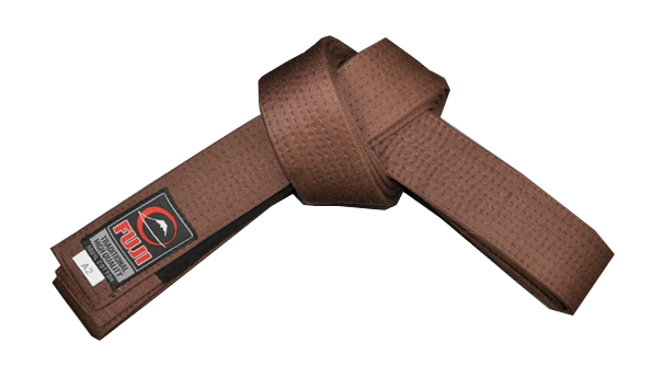 Fuji BJJ Belt