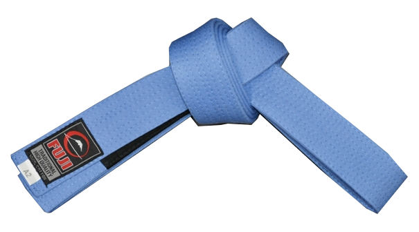Jiu Jitsu Ceinture Bleu Judo Ceinture Orange Passage Ceinture Bleu